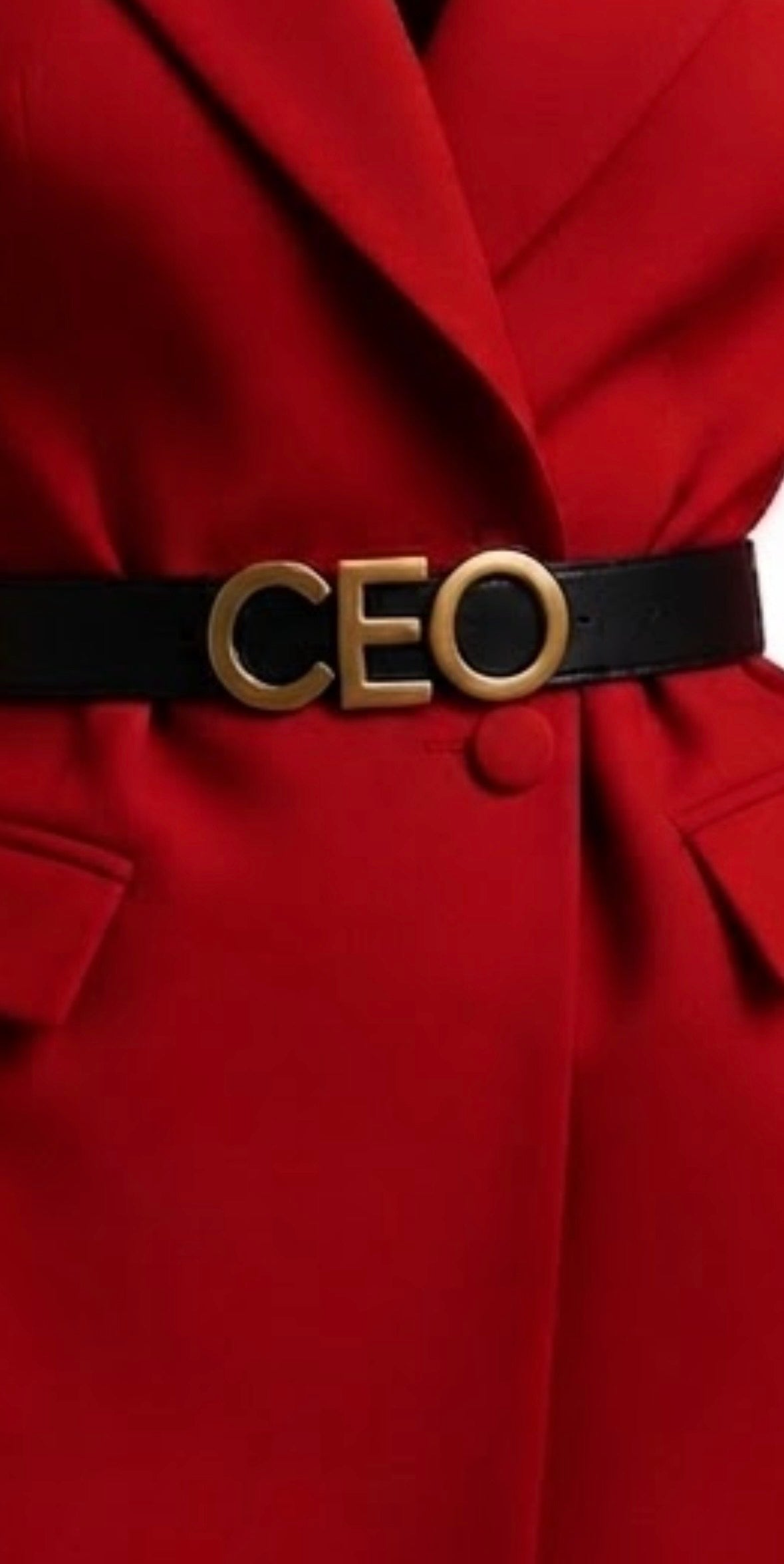 Power Suit with CEO Belt